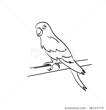 smiling parrot on tree illustration vector hand drawn isolated on white background line art. 86333779