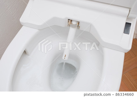 衛洗麗噴嘴清洗 86334660