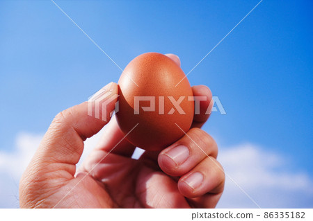 a chicken egg in hand with a sky blurred background a chicken egg in hand with a sky blurred background 86335182