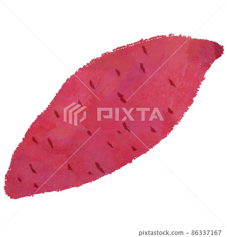 Sweet potato illustration 86337167
