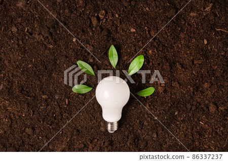 White light bulb with green plant as a concept of eco energy top view. Creative idea of energy saving. White light bulb with green plant as a concept of eco energy top view. Creative idea of energy saving. 86337237