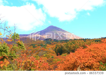 秋葉中的萬代山 86337339