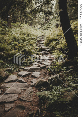 Trail to "babia gora" peak in Poland. The highest peak of the Polish Beskids Trail to "babia gora" peak in Poland. The highest peak of the Polish Beskids 86338099