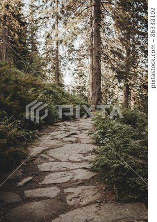Trail to "babia gora" peak in Poland. The highest peak of the Polish Beskids 86338102