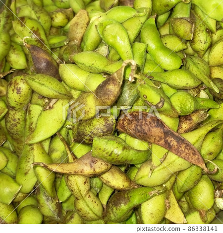 丹波黑豆毛豆 86338141