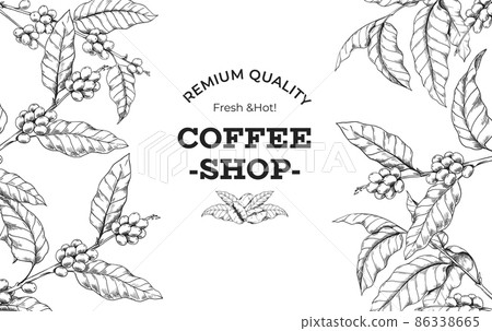 Coffee tree framing. Hand drawn beans and plant branches for morning drink package. Cafeteria or shop organic Arabica grains design. Text and leaves sketch. Vector background engraving Coffee tree framing. Hand drawn beans and plant branches for morning drink package. Cafeteria or shop organic Arabica grains design. Text and leaves sketch. Vector background engraving 86338665