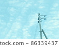 在陽光明媚的日子裡，我仰望天空和電線桿。 86339437