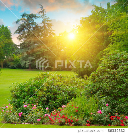 Cozy garden with a flowers and green lawns. Cozy garden with a flowers and green lawns. 86339882
