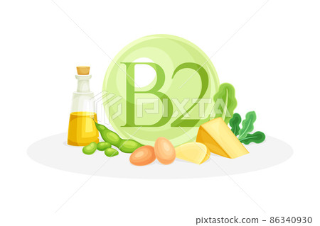 Sources of vitamin B2. Oil, bean, egg, cheese, leafy vegetables healthy nutrition food. Mineral vitamin supplement vector illustration 86340930