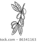 Vector logo of olives on a branch in black colour. Modern logo in doodle style. Minimalistic floral vector illustration. Elegant sign for canned olives, olive oil, olive trees, logo of branch 86341163