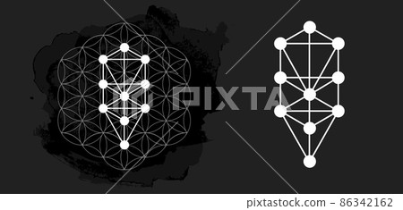 Kabbalah vector symbol isolated. Sacred geometry and tree of sefirot illustration 86342162