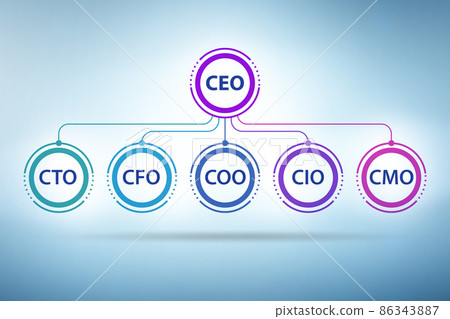 Illustration of organisation chart with various executives Illustration of organisation chart with various executives 86343887