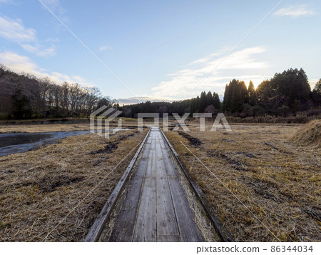 Promenade of wetland belt 86344034