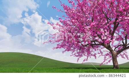 Spring landscape with blooming sakura cherry tree 86344421