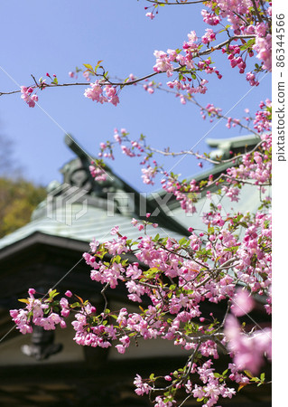 鎌倉開藏寺的海道 鎌倉開藏寺的海道 86344566