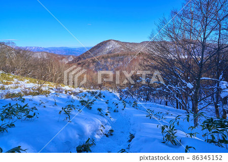 從八丁峠山道的中部眺望東側的銚七郎山 從八丁峠山道的中部眺望東側的銚七郎山 86345152