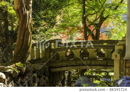 Kurotakiyama Kurotaki Temple Ishibashi, Nammoku Village, Gunma Prefecture Kurotakiyama Kurotaki Temple Ishibashi, Nammoku Village, Gunma Prefecture 86345724