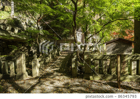 黑瀧山 黑瀧寺本堂(大王殿)群馬縣南目村 黑瀧山 黑瀧寺本堂(大王殿)群馬縣南目村 86345793