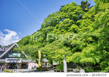 東京高尾山,初夏的纜車站台,清瀧站前廣場 東京高尾山,初夏的纜車站台,清瀧站前廣場 86346334