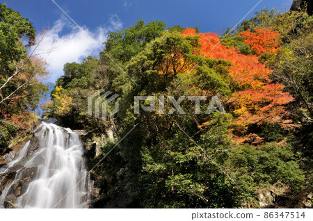 Arataki（Yoji川）的紅葉[三重縣熊野市木和町] 86347514
