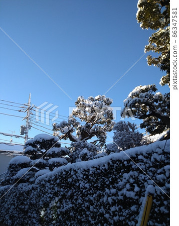 積雪和晨景 86347581