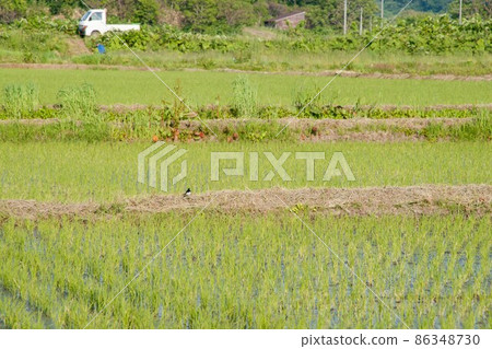 Satoyama landscape Satoyama landscape 86348730