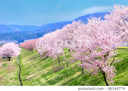 飯山/櫻井 86348774