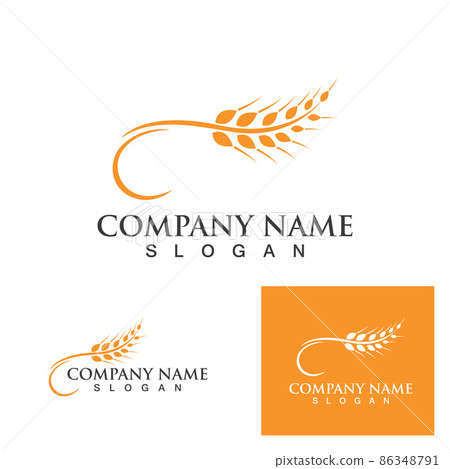 Agriculture wheat vector Agriculture wheat vector 86348791