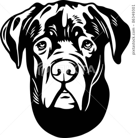 Cane Corso - Funny Dog, Vector File, Stencil for Tshirt 86349301