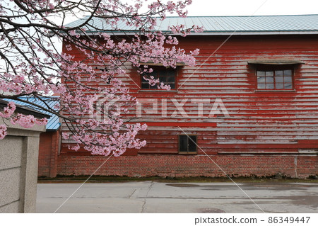 北海道栗山小林Shuzo 86349447