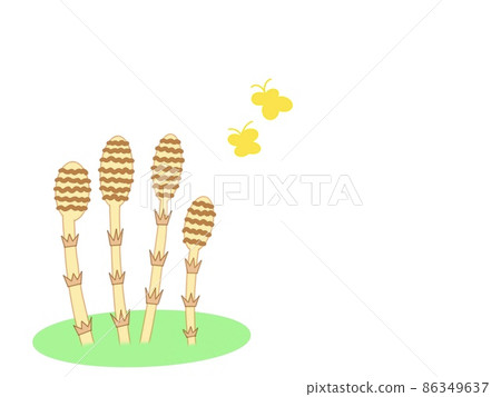 馬尾和蝴蝶春天領域 馬尾和蝴蝶春天領域 86349637