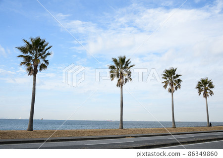 Chiba Fornia Chiba Fornia 86349860