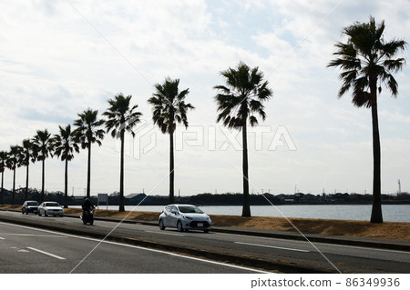 Chiba Fornia 86349936