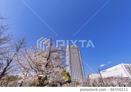 Scenery of Sakura Blooming Kinshi Park and Olinas Kinshicho / Sumida Ward General Gymnasium 86350211