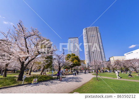 櫻花盛開錦市公園和奧林納斯錦市鎮的風景 櫻花盛開錦市公園和奧林納斯錦市鎮的風景 86350212
