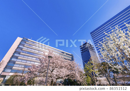 Scenery of Nakano Shiki no Mori Park where cherry blossoms bloom 86351512
