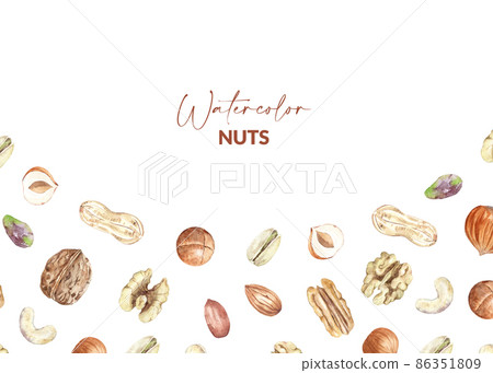 Background design with nuts. Raw pecan, walnut, almond, pistachio, peanut, macadamia, hazelnut and cashew. Hand drawn watercolor illustration of organic food for packaging, label, card. Background design with nuts. Raw pecan, walnut, almond, pistachio, peanut, macadamia, hazelnut and cashew. Hand drawn watercolor illustration of organic food for packaging, label, card. 86351809