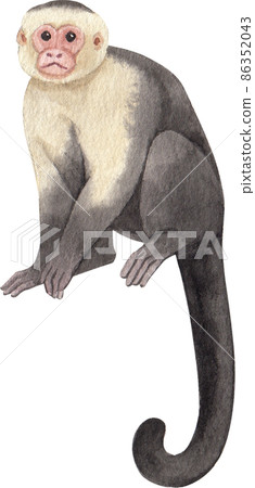 Cartoon monkeys.Furry apes with tails watercolor clipart png 86352043