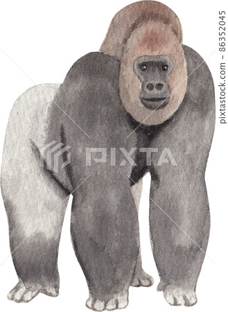 Cartoon monkeys.Furry apes with tails watercolor clipart png Cartoon monkeys.Furry apes with tails watercolor clipart png 86352045