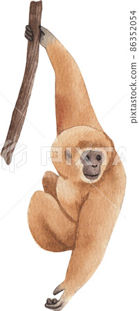 Cartoon monkeys.Furry apes with tails watercolor clipart png Cartoon monkeys.Furry apes with tails watercolor clipart png 86352054