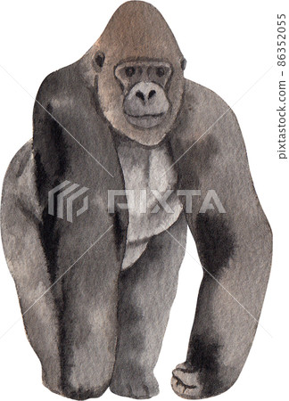 Cartoon monkeys.Furry apes with tails watercolor clipart png Cartoon monkeys.Furry apes with tails watercolor clipart png 86352055