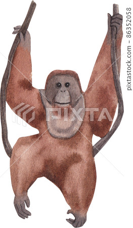 Cartoon monkeys.Furry apes with tails watercolor clipart png Cartoon monkeys.Furry apes with tails watercolor clipart png 86352058
