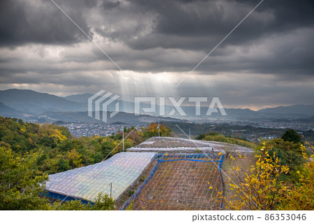 Habikino City, Osaka Prefecture: Angel's Ladder illuminating a vineyard and a sign of a storm. A dramatic meteorological phenomenon. 86353046