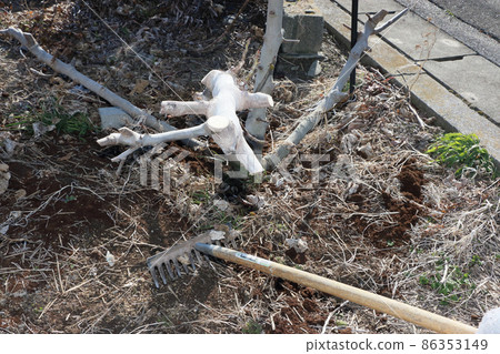 Kitchen garden, farm work in the cold, soil preparation Kitchen garden, farm work in the cold, soil preparation 86353149