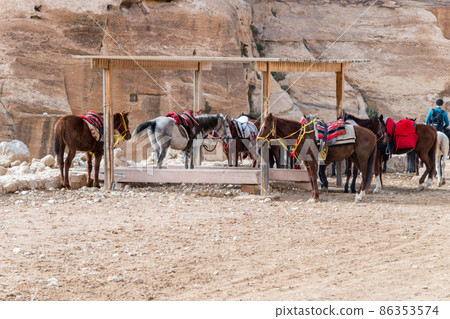 Horses in Petra, Jordan. Petra is one of the New Seven Wonders of the World. Horses in Petra, Jordan. Petra is one of the New Seven Wonders of the World. 86353574