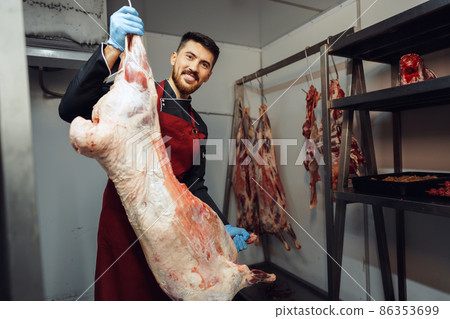 Male butcher standing by meat hanging on hook in meat shop Male butcher standing by meat hanging on hook in meat shop 86353699