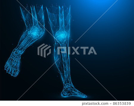 Polygonal vector illustration of human legs. Concept of the anatomical structure of the ankle and knee joints. Futuristic medical banner, template or background. 86353839