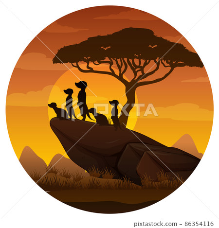 Meerkat family silhouette in savanna forest Meerkat family silhouette in savanna forest 86354116