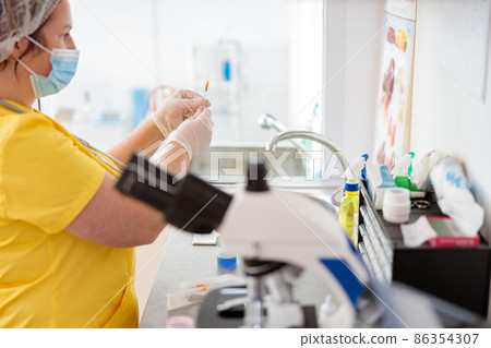 Woman veterinarian examines blood test in laboratory Woman veterinarian examines blood test in laboratory 86354307
