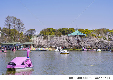 上野恩施公園 不忍池 / 不忍池 Houtendo 和船上的人們（2021 年 3 月） 86354644